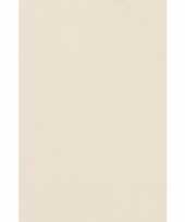 Creme witte papieren tafelkleed 137 x 274 cm